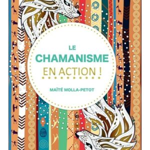 Le Chamanisme en action