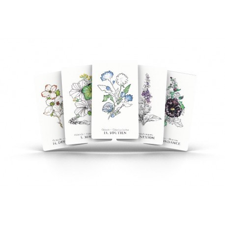 Coffret Oracle des Simples