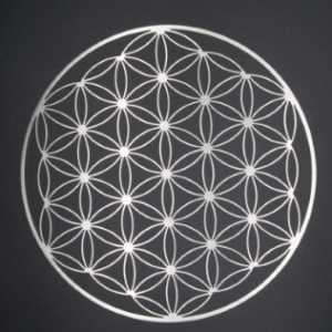 Fleur de vie acier inoxydable : diamètre 25cm