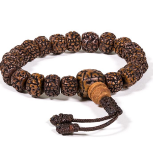 Bracelet Rudraksha perles