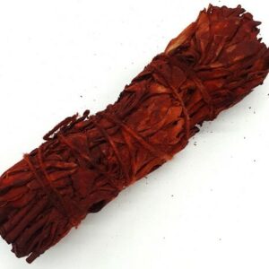 Sauge blanche sang de dragon