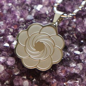 Dilectio 12 composants