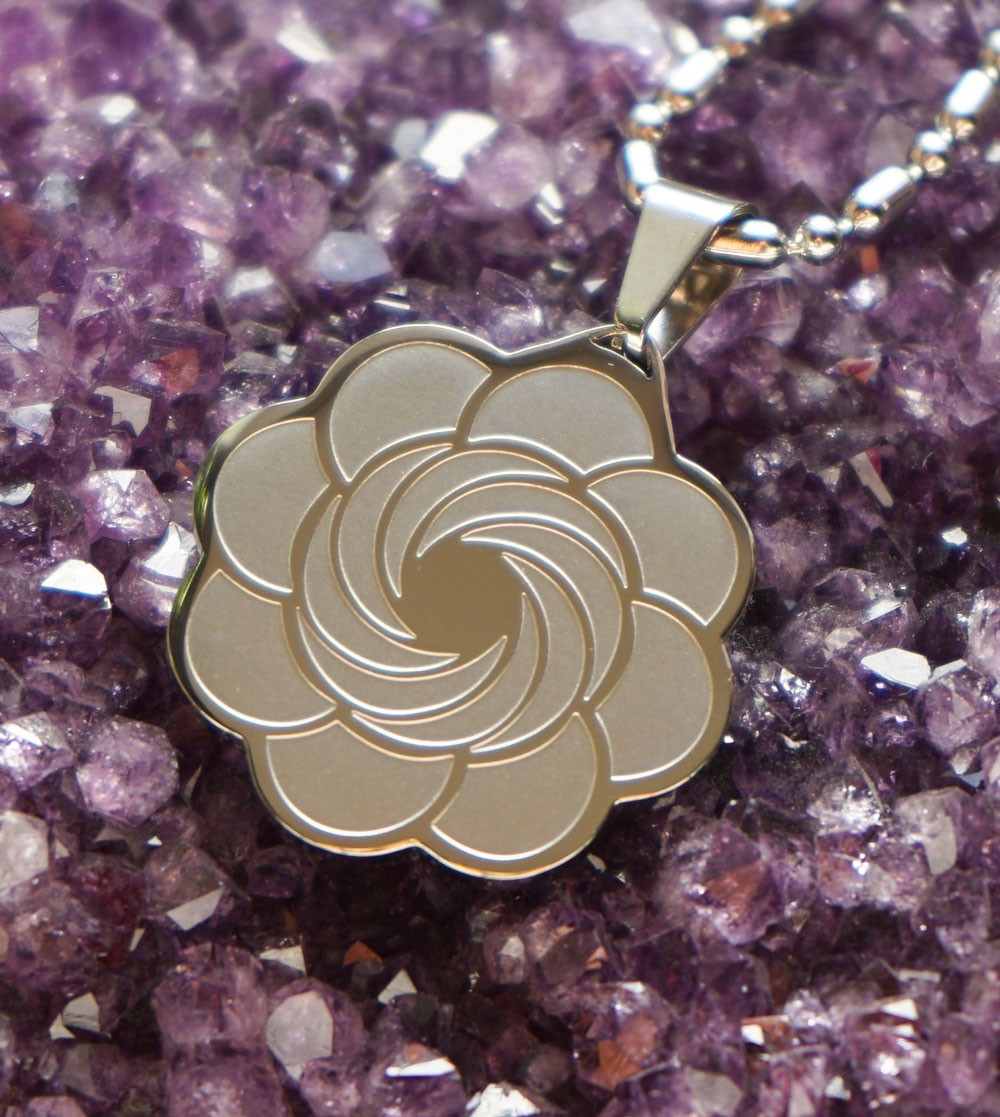 Dilectio 12 composants