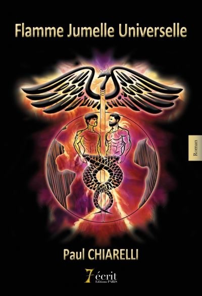 Le combat de l'ombre Flamme jumelle universelle