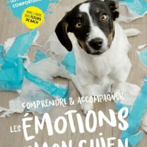 Comprendre et accompagner les émotions de mon chien