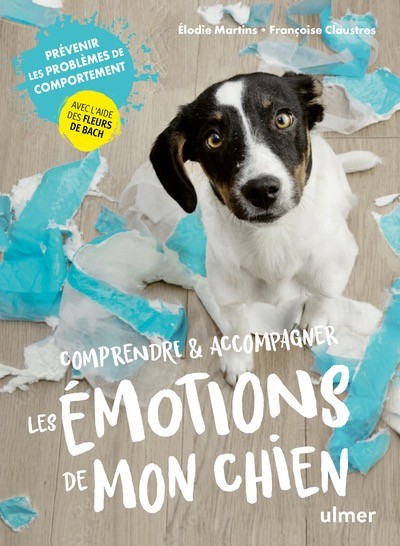 Comprendre et accompagner les émotions de mon chien