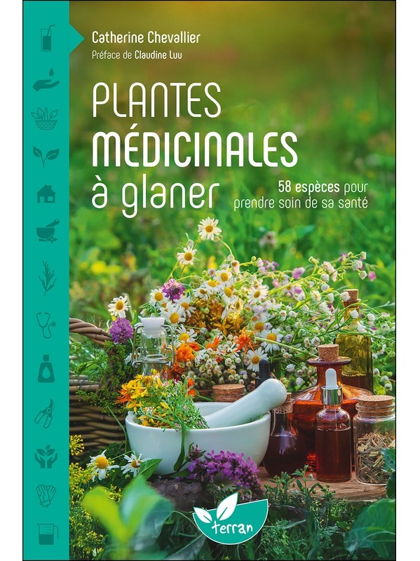Plantes médicinales à glaner