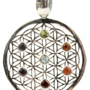 Chakras Fleur de Vie Argent et Pierres des Chakras