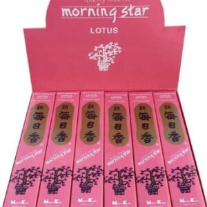 Encens japonais morning star lotus